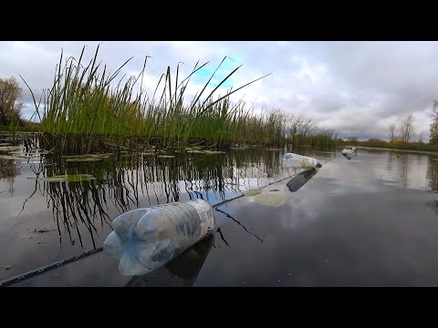 Видео: Запрещенная снасть?! Начал проверять бутылки и был удивлен! Рыбалка осенью.