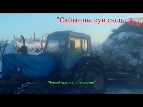 Видео: Якутия. Зимняя перевозка сена.