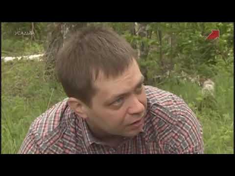 Видео: Альтернативный сад 1 серия основы