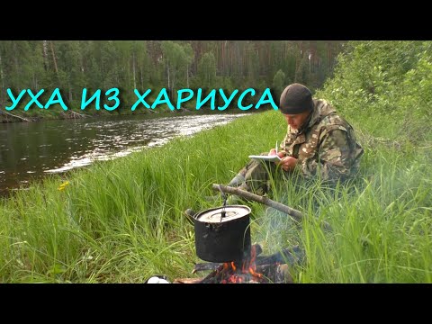 Видео: ХАРИУС НА УДОЧКУ.