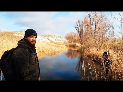 Видео: Унылая рыбалка, моя бытовуха, интересные рассказы, стёб над тугими людьми