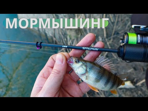 Видео: ОКУНЬ В ЛУЖЕ🐟🔥 | NAUTILUS ANT 0.2 - 1.5