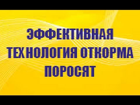 Видео: Откормите поросят быстро и выгодно по наиболее эффективной схеме откорма свиней