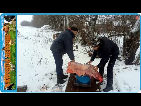 Видео: МЯСНОЙ ДЕНЬ В ДЕРЕВНЕ, СОКРАЩАЕМ ПОГОЛОВЬЕ