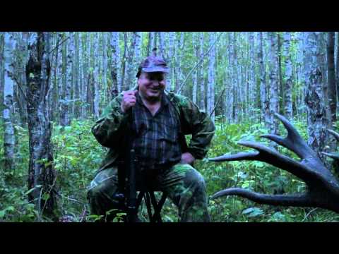 Видео: За трофейным оленем
