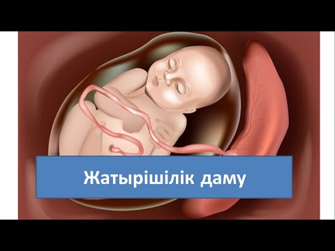 Видео: 50. Жатырішілік даму. 9-сынып. Биология