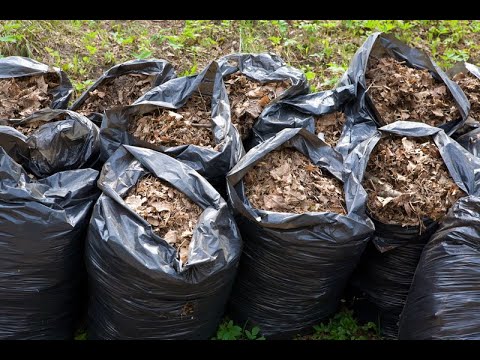 Видео: ДЕЛАЮ ТОННЫ ПОЛЕЗНОЙ ОРГАНИКИ КАЖДУЮ ОСЕНЬ ЗА КОПЕЙКИ // ВАЦАП ДЛЯ ЗАКАЗА КАТАЛОГА 89152458159