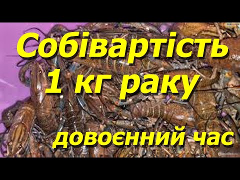 Видео: Що входить у собівартість 1 кг Австралійського раку на фермі узв