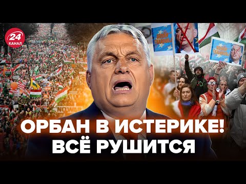Видео: ⚡Это КОНЕЦ! Орбана МОГУТ СНЕСТИ. Венгрия ГОТОВИТ ЗАГОВОР в Будапеште? @DW на русском ‬