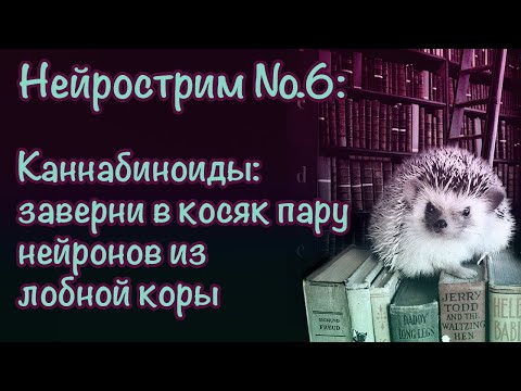 Видео: Нейрострим №6: Каннабиноиды: заверни в косяк пару нейронов из лобной коры