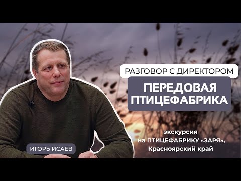 Видео: Птицефабрика ЗАРЯ: обзор одного из самых передовых предприятий отрасли, интервью с директором