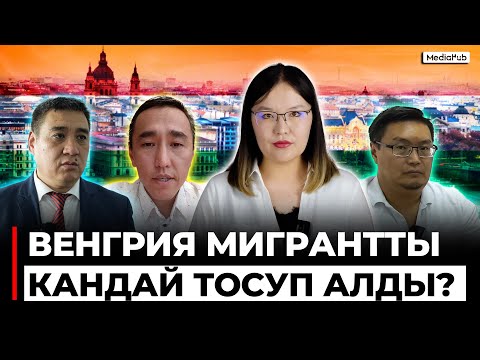 Видео: Венгрияда заводдо иштегендер канча табат?