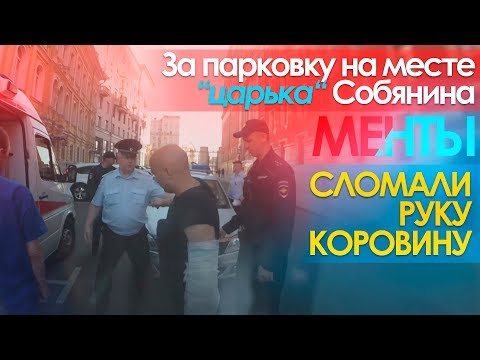 Видео: За парковку на месте "царька" Собянина полицейские сломали руку Коровину