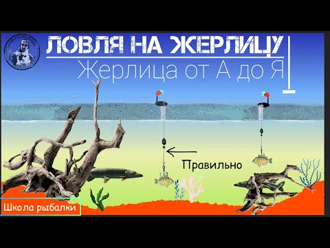 Видео: ЖЕРЛИЦА на ЩУКУ и др. Где и как ловить? ЗНАЙ И ЛОВИ. Школа рыбалова.(Ч.1)