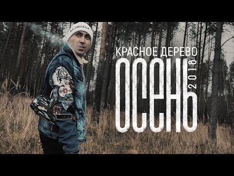 Видео: Красное Дерево "Осень 2018"