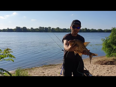 Видео: Рыбалка на Фидер в Киеве/Днепр правый берег/Лещ Карась/Видеоотчет Июль 2022