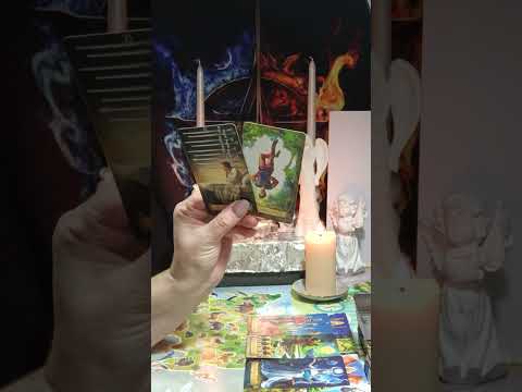 Видео: 🧐🤯Что их напугало и в угол загнало🤔😱Треш🫣