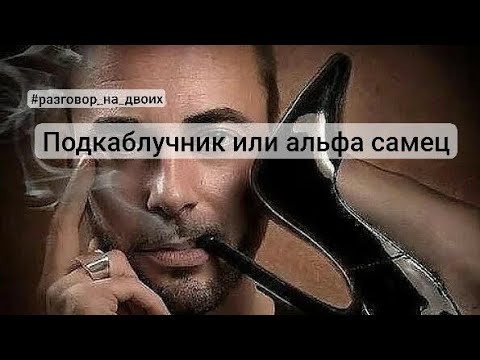 Видео: Подкаблучник или альфа самец #разговор_на_двоих