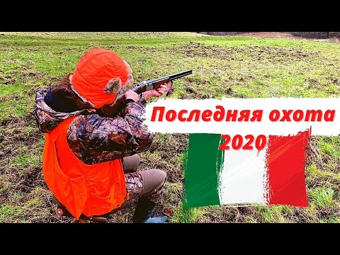 Видео: Последняя охота  в этом году/загонная охота на кабана/Beretta 20 калибр/патрон Sauvestre gros gibier