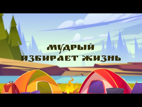 Видео: Мудрый избирает жизнь | День 4