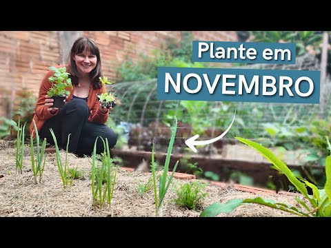 Видео: Что сажать в ноябре 2025 года? 📅 Календарь посадок 🌱