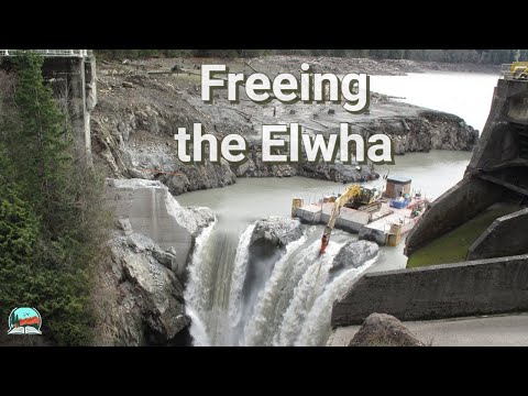 Видео: Возвращение природы: ликвидация плотины Элва