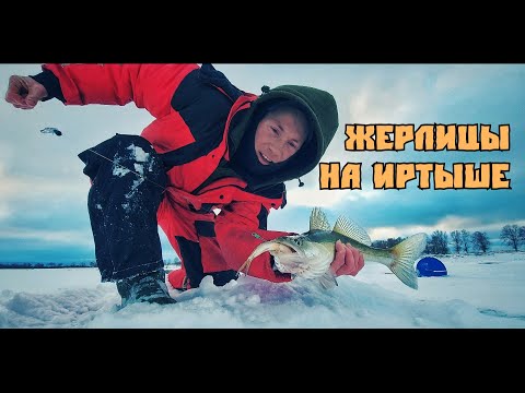 Видео: Иртыш 2020  Ловля Судака и Щуки на Жерлицы