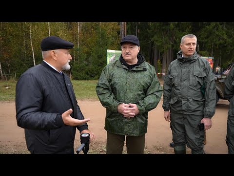 Видео: Лукашенко: Поле хорошее! Не могли получать урожай, получаем! // Шкловский район