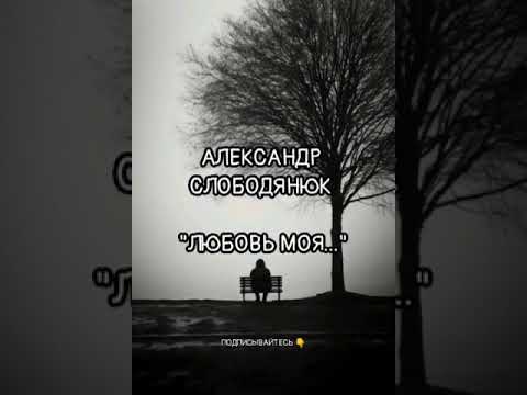Видео: Александр Слободянюк "Любовь моя..." #відеопоезія #поетичнийблог #стихиожизни