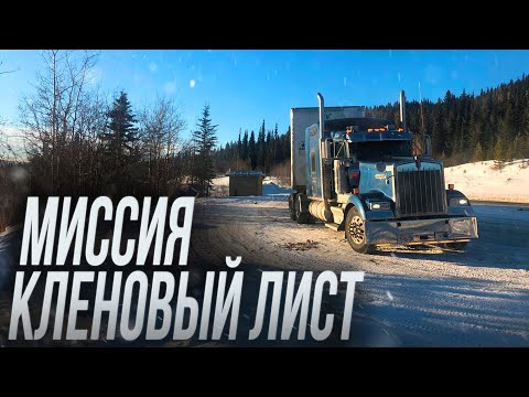 Видео: Снежная Аляска. Миссия кленовый лист.