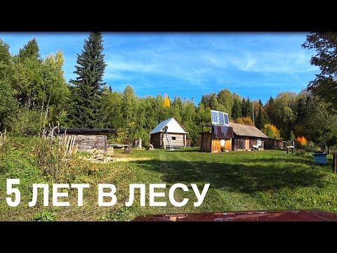 Видео: Целый участок в глубинке леса со всеми удобствами, как тут не жить? | 5 лет в лесу