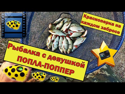 Видео: Рыбалка на ПОПЛА-ПОППЕР! Рыбалка с девушкой  ПОПЛА-ПОППЕР. ЖОР !Красноперка на каждом забросе