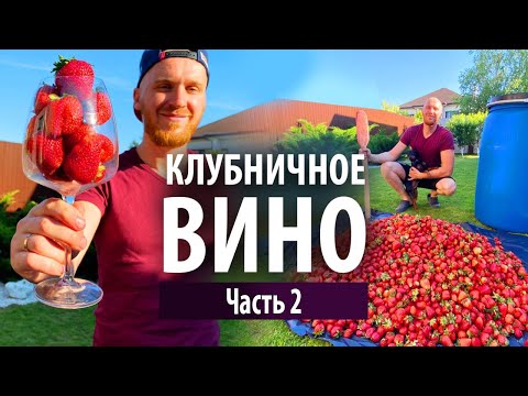 Видео: Клубничное вино в домашних условиях  | Часть 2