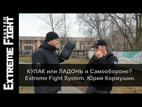Видео: КУЛАК или ЛАДОНЬ в Самообороне? Extreme Fight System. Юрий Кормушин.