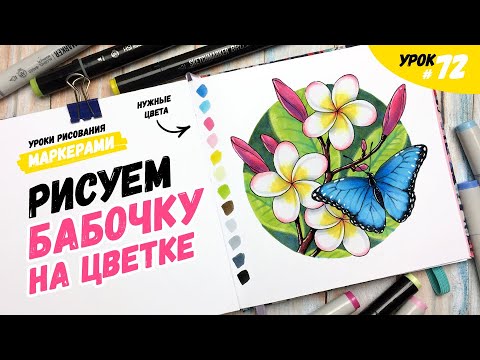 Видео: Как нарисовать бабочку на тропическом цветке? / Видео-урок по рисованию маркерами для новичков #72