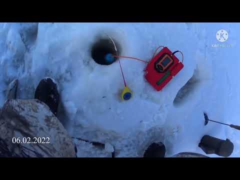 Видео: Чехонь на Казакова ( финский залив )