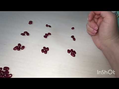 Видео: Замужним не смотреть.Гадание.Кумалак