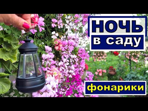 Видео: Жара такая, что балдеем в саду только ночью. Световые лайфакии в саду