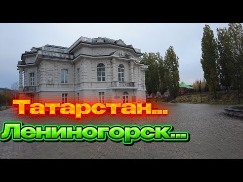 Видео: ✅Лениногорск .Татарстан. Пешком ✅На осмотр лотов. Не приняли.