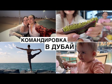 Видео: Влог: Командировка в Дубай с Годовалым Ребёнком // Встреча с Продюсером