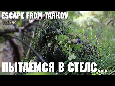 Видео: ПЫТАЕМСЯ В СТЕЛС... ХЕ-ХЕ | ESCAPE FROM TARKOV