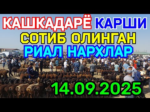 Видео: 14.09.2025 СОТИБ ОЛИНГАН РЕАЛ НАРХЛАР КАРШИ КАРВОН МОЛ БОЗОРИДА 