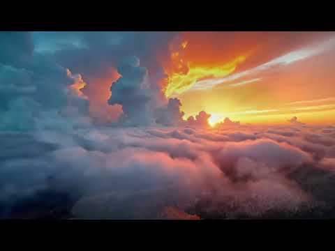 Видео: Ніжна музика, що заспокоює нервову систему та тішить душу 🌿 Цілюща музика для серця та кровообігу