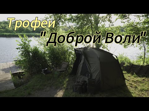 Видео: Трофеи "Доброй Воли" и разговоры с Другом.