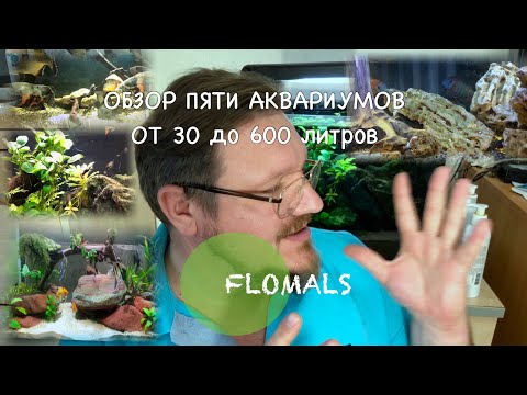 Видео: ОБЗОР ПЯТИ АКВАРИУМОВ ОТ 30 до 600 литров