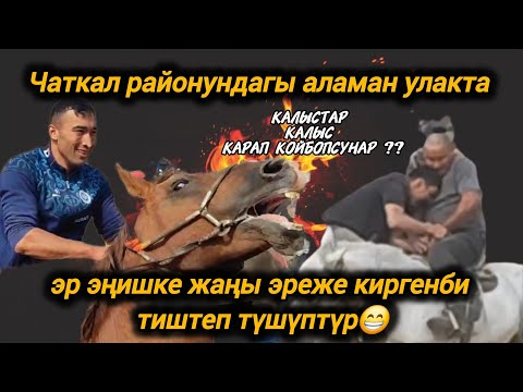 Видео: Чаткал району аламан улакта эр эңишке жаңы эреже киргенби тиштеп түшүптүр 😁
