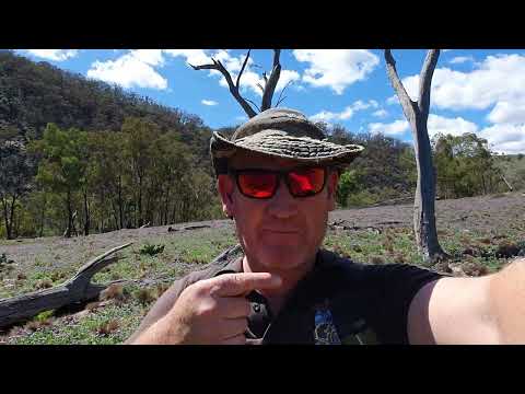 Видео: ЗОЛОТО реки Маккуори