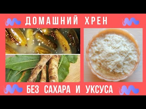 Видео: ДОМАШНИЙ ХРЕН БЕЗ САХАРА И УКСУСА