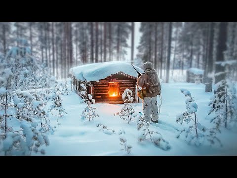 Видео: НАШЁЛ ИЗБУ А ТАМ УЖАС. НАХОДКА В ЛЕСУ МЕНЯ ОШАРАШИЛА. КТО ТУТ ЖИЛ. ГРЯЗНАЯ ИЗБА В ТАЙГЕ.