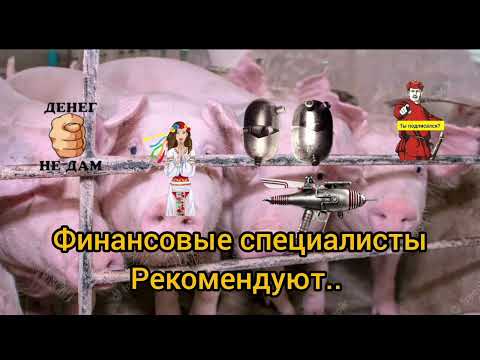 Видео: ВОТ СПЕЦИАЛИСТОВ СТАДО,ЭТО БУДТО ЭЛЬДОРАДО.ВСЕ ГУНДЯТ, ГУНДЯТ, ГУНДЯТ,ОЧЕНЬ РАЗВЕСТИ ХОТЯТ..